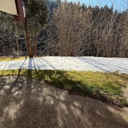 Black Forest With Garden Terrace