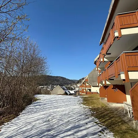 Apartment Black Forest With Garden Terrace