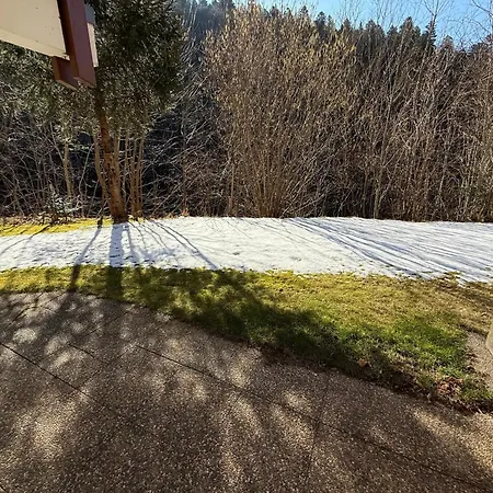 Apartment Black Forest With Garden Terrace Todtmoos