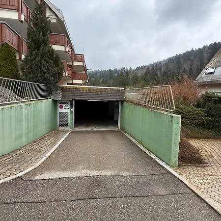 Black Forest With Garden Terrace Todtmoos