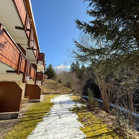 Black Forest With Garden Terrace