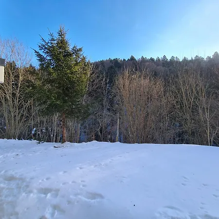 Black Forest With Garden Terrace * Todtmoos