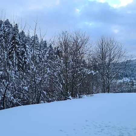 Apartment Black Forest With Garden Terrace *